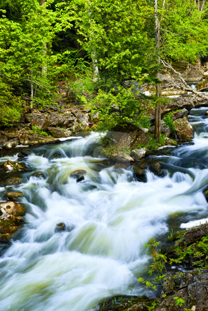 River through woods River through woods stock photo, Water rushing among rocks in river rapids in Ontario Canada by Elena Elisseeva