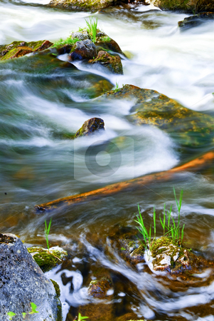 To use this stock image in your creative project, please select the size you need over to the right and click the "Add to Cart" button.
Your downloaded image will come with the Cutcaster watermark removed so don’t worry about the watermark you see on this page. River through woods stock photo, Water rushing among rocks in river rapids in Ontario Canada by Elena Elisseeva