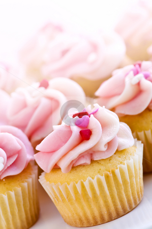 To use this stock image in your creative project, please select the size you need over to the right and click the "Add to Cart" button.
Your downloaded image will come with the Cutcaster watermark removed so don’t worry about the watermark you see on this page. Cupcakes stock photo, Lots of tasty cupcakes with icing and sprinkles by Elena Elisseeva