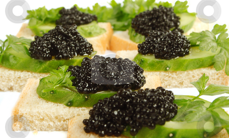 To use this stock image in your creative project, please select the size you need over to the right and click the "Add to Cart" button.
Your downloaded image will come with the Cutcaster watermark removed so don’t worry about the watermark you see on this page. Caviar black stock photo, Sandwiches with black caviar and a cucumber on a white background. by Sergey Goruppa
