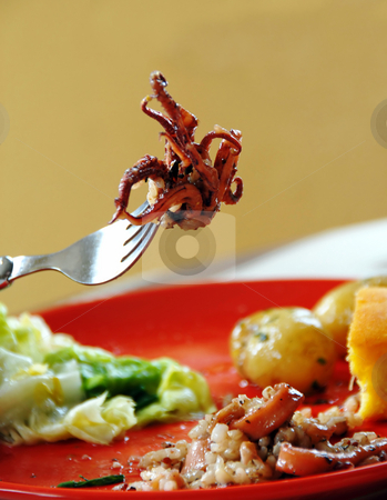 Risotto with squids Risotto with squids stock photo, Squids rice with vegetables on red plate, piece on fork by Julija Sapic