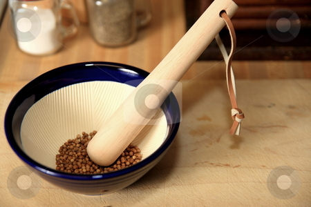 To use this stock image in your creative project, please select the size you need over to the right and click the "Add to Cart" button.
Your downloaded image will come with the Cutcaster watermark removed so don’t worry about the watermark you see on this page. Mortar & Pestle stock photo, Crushing coriander seed in preparation of making a seasoning rub for meats by Jack Schiffer