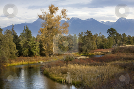 To use this stock image in your creative project, please select the size you need over to the right and click the "Add to Cart" button.
Your downloaded image will come with the Cutcaster watermark removed so don’t worry about the watermark you see on this page. River Snow Mountains Fall Colors National Bison Range Charlo Mon stock photo, River Snow Mountains Fall Colors National Bison Range Charlo Montana by William Perry
