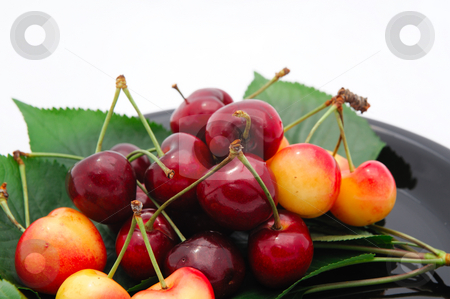 To use this stock image in your creative project, please select the size you need over to the right and click the "Add to Cart" button.
Your downloaded image will come with the Cutcaster watermark removed so don’t worry about the watermark you see on this page. Rainier And Bing Cherries stock photo, Summer cherries on a black saucer with a light background by Lynn Bendickson