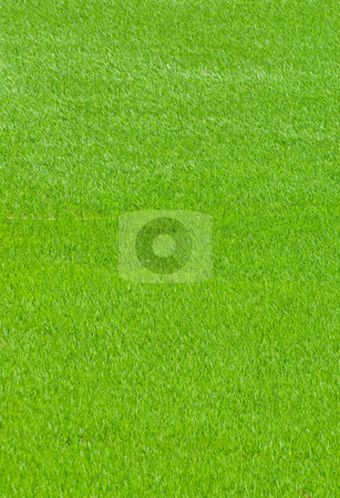 Green field, Aisa Green field, Aisa stock photo, Green field, Asia paddy field by Lawren