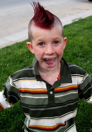 To use this stock image in your creative project, please select the size you need over to the right and click the "Add to Cart" button.
Your downloaded image will come with the Cutcaster watermark removed so don’t worry about the watermark you see on this page. Mohawked boy stock photo, Boy with a big toothless grin and a mohawk by Cora Reed