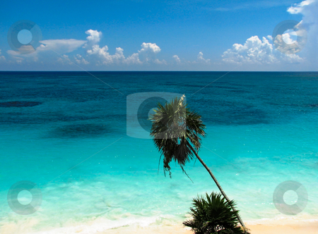 To use this stock image in your creative project, please select the size you need over to the right and click the "Add to Cart" button.
Your downloaded image will come with the Cutcaster watermark removed so don’t worry about the watermark you see on this page. Vacation at the beach stock photo, A beach scene with blue heaven, clouds and turquoise water by Alexander Zschach