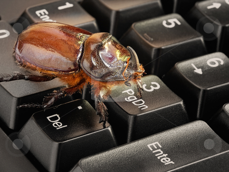To use this stock image in your creative project, please select the size you need over to the right and click the "Add to Cart" button.
Your downloaded image will come with the Cutcaster watermark removed so don’t worry about the watermark you see on this page. Computer bug stock photo, Metaphor about problems in the world of computers, software, and Internet. by Sinisa Botas