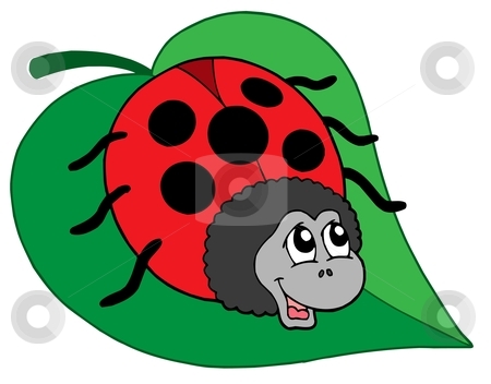 Cute ladybug on leaf vector illustration stock vector clipart, Cute ladybug