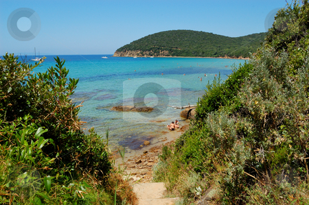 To use this stock image in your creative project, please select the size you need over to the right and click the "Add to Cart" button.
Your downloaded image will come with the Cutcaster watermark removed so don’t worry about the watermark you see on this page. Trail to the beach stock photo, Trail to the beach (Cala Violina, Tuscany Italy) by ALESSANDRO TERMIGNONE