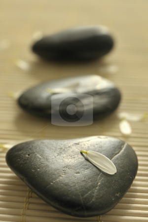 To use this stock image in your creative project, please select the size you need over to the right and click the "Add to Cart" button.
Your downloaded image will come with the Cutcaster watermark removed so don’t worry about the watermark you see on this page. Modern spa stock photo, Three stones in the sunlight with flower leafs on a bamboo underground by Carmen Steiner