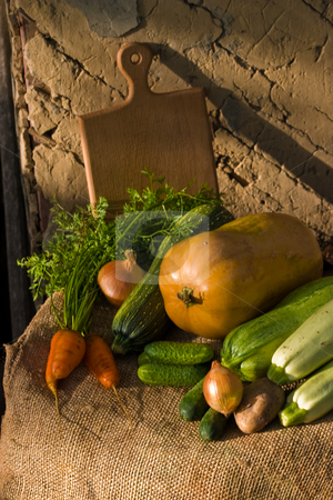 To use this stock image in your creative project, please select the size you need over to the right and click the "Add to Cart" button.
Your downloaded image will come with the Cutcaster watermark removed so don’t worry about the watermark you see on this page. Vegetables stock photo, Autumnal still life with different vegetables on the wall background by Gennady Kravetsky