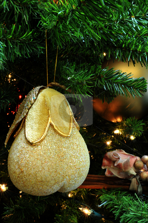 To use this stock image in your creative project, please select the size you need over to the right and click the "Add to Cart" button.
Your downloaded image will come with the Cutcaster watermark removed so don’t worry about the watermark you see on this page. Chritmas Tree Ornamemt stock photo, Finely detailed christmas tree decoration shaped like a pear with small lights in the background by Lynn Bendickson