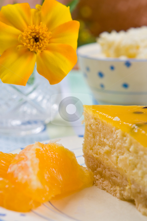 To use this stock image in your creative project, please select the size you need over to the right and click the "Add to Cart" button.
Your downloaded image will come with the Cutcaster watermark removed so don’t worry about the watermark you see on this page. Cheesecake with fresh orange slices stock photo, Cheesecake with fresh orange slices on a plate by Robert Anthony