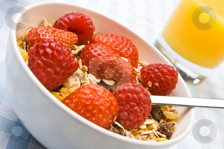 To use this stock image in your creative project, please select the size you need over to the right and click the "Add to Cart" button.
Your downloaded image will come with the Cutcaster watermark removed so don’t worry about the watermark you see on this page. Delicious muesli with fruit stock photo, Muesli with fresh raspberries and strawberries by Robert Anthony