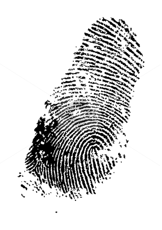 Finger print Finger print stock vector clipart, Detailed finger print - vector illustration by Ilyes Laszlo