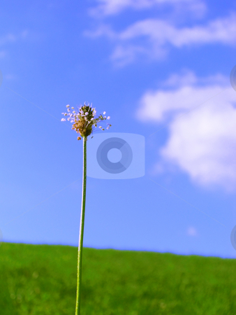 Summer Summer stock photo, Summer by Julian Weber