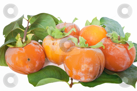 To use this stock image in your creative project, please select the size you need over to the right and click the "Add to Cart" button.
Your downloaded image will come with the Cutcaster watermark removed so don’t worry about the watermark you see on this page. Group of Kaki stock photo, Group ripe persimmons isolated on white background by ANTONIO SCARPI