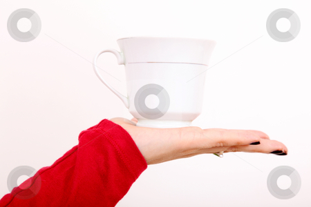 To use this stock image in your creative project, please select the size you need over to the right and click the "Add to Cart" button.
Your downloaded image will come with the Cutcaster watermark removed so don’t worry about the watermark you see on this page. Cup stock photo, Woman hand with cup over white background by Giuseppe Ramos