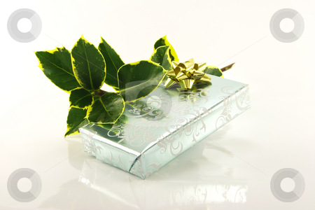To use this stock image in your creative project, please select the size you need over to the right and click the "Add to Cart" button.
Your downloaded image will come with the Cutcaster watermark removed so don’t worry about the watermark you see on this page. Silver Wrapped Gift and Holly stock photo, Single shiny silver wrapped gift with gold bow and green holly on a reflective white background by Keith Wilson