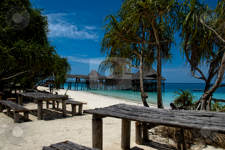 To use this stock image in your creative project, please select the size you need over to the right and click the "Add to Cart" button.
Your downloaded image will come with the Cutcaster watermark removed so don’t worry about the watermark you see on this page. Paradise beach stock photo, Beach scene at northern tip of Zanzibar by bah1969