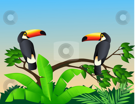 To use this stock image in your creative project, please select the size you need over to the right and click the "Add to Cart" button.
Your downloaded image will come with the Cutcaster watermark removed so don’t worry about the watermark you see on this page. Toucan bird stock vector clipart, Toucan bird in the green tropical forest by Surya Zaidan
