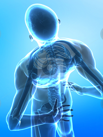 Spine pain Spine pain stock photo, Pain in the spine - x-ray top view on blue by Peter Lecko