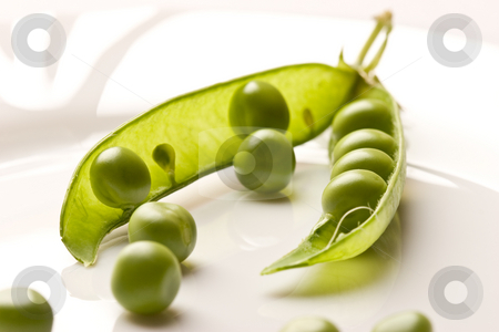 To use this stock image in your creative project, please select the size you need over to the right and click the "Add to Cart" button.
Your downloaded image will come with the Cutcaster watermark removed so don’t worry about the watermark you see on this page. Pea pod stock photo, Vegetable theme: pea pod on the white plate by Gennady Kravetsky