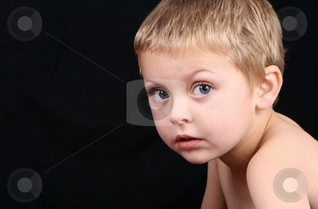 To use this stock image in your creative project, please select the size you need over to the right and click the "Add to Cart" button.
Your downloaded image will come with the Cutcaster watermark removed so don’t worry about the watermark you see on this page. Beautiful Boy stock photo, Beautiful blond boy against a black background by Vanessa Van Rensburg