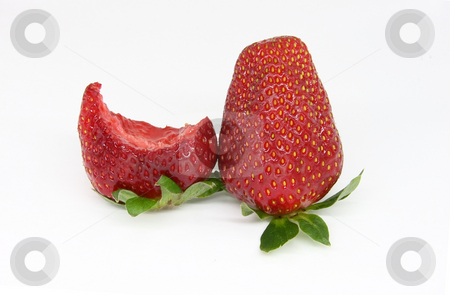 To use this stock image in your creative project, please select the size you need over to the right and click the "Add to Cart" button.
Your downloaded image will come with the Cutcaster watermark removed so don’t worry about the watermark you see on this page. Strawberry stock photo, You can taste it too, delicious.. by ARPAD RADOCZY