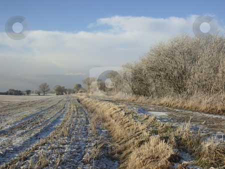 Winter chill Winter chill stock photo, Fields and trees on a sunny winter morning after a heavy frost by Mike Smith