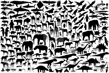 Animal silhouettes Animal silhouettes stock vector clipart, Diverse set of editable vector animal outlines by Robert Adrian Hillman