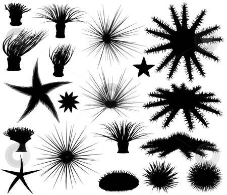 Sealife silhouettes Sealife silhouettes stock vector clipart, Set of editable vector silhouettes of sea lifeforms by Robert Adrian Hillman