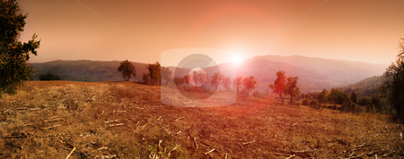 To use this stock image in your creative project, please select the size you need over to the right and click the "Add to Cart" button.
Your downloaded image will come with the Cutcaster watermark removed so don’t worry about the watermark you see on this page. Sumadija stock photo, Panorama of sunset in Sumadija, central Serbia. by Ivan Paunovic
