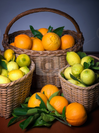 Harvest of citrus Harvest of citrus stock photo, Baskets full of citrus fruits after the harvest. by Sinisa Botas