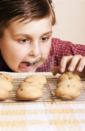 To use this stock image in your creative project, please select the size you need over to the right and click the "Add to Cart" button.
Your downloaded image will come with the Cutcaster watermark removed so don’t worry about the watermark you see on this page. Succumb stock photo, Mmmmm, Just one, mum wont notice!
Sugarfree, gluten free cookies. by Leah-Anne Thompson