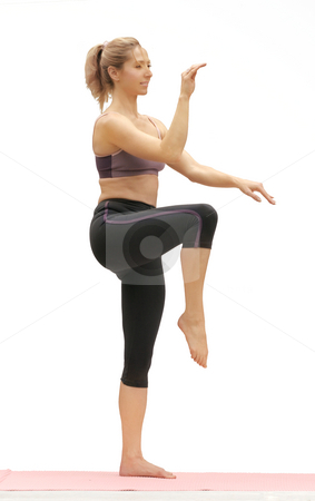 Tai Chi Tai Chi stock photo, Golden Rooster by Leah-Anne Thompson