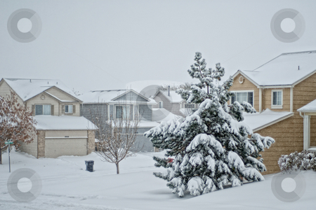 Snowy Day Snowy Day stock photo, A snowy suburban street in Colorado durning a blizzard by Mike Ricci