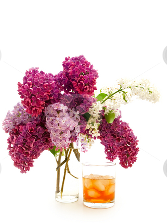 To use this stock image in your creative project, please select the size you need over to the right and click the "Add to Cart" button.
Your downloaded image will come with the Cutcaster watermark removed so don’t worry about the watermark you see on this page. Lilac and whisky stock photo, Glass of alcoholoic drink with ice cubes and lilac by Sergej Razvodovskij