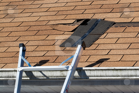 To use this stock image in your creative project, please select the size you need over to the right and click the "Add to Cart" button.
Your downloaded image will come with the Cutcaster watermark removed so don’t worry about the watermark you see on this page. Damaged Roof Shingles Repair stock photo, Fixing damaged roof shingles. A section was blown off after a storm with high winds causing a potential leak. by Todd Arena