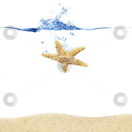 Starfish Splash Starfish Splash stock photo, Starfish sinking into an ocean above sand. by Christopher Nuzzaco