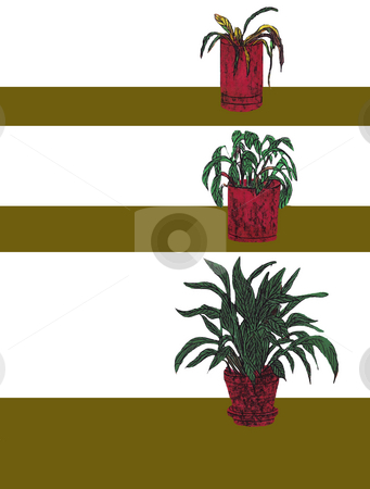 Three different peace lily plants comparison Three different peace lily plants comparison stock photo, On the right side of the page, three peace lily plants are shown on three different levels. The first plant has been neglected and the plant shows poor growth. The second plant in the middle has been cared for a little better. The plant on the bottom right has been nurtured the most and looks most healthy. by Lee Serenethos