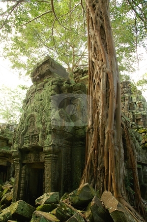 Runs of ancient Cambodian temple Runs of ancient Cambodian temple stock photo, Runs of ancient Cambodian temple in the jungle. by Oleg Blazhyievskyi