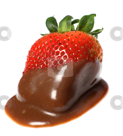 Chocolate coated strawberry Chocolate coated strawberry stock photo, A strawberry after being dipped in chocolate sauce by Paul Cowan