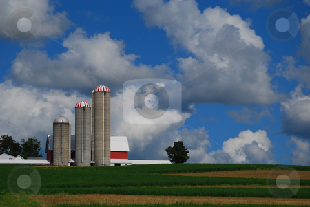 To use this stock image in your creative project, please select the size you need over to the right and click the "Add to Cart" button.
Your downloaded image will come with the Cutcaster watermark removed so don’t worry about the watermark you see on this page. Farm on a hill with beautiful sky stock photo, A barn with three silos and a lone tree against a partly cloudy sky. by Christy Thompson