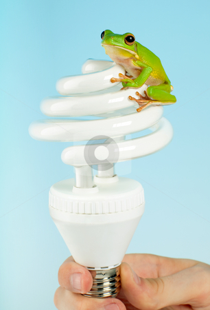 Frog on lamp Frog on lamp stock photo, Ecological frog on energy saving light bulb by Anneke