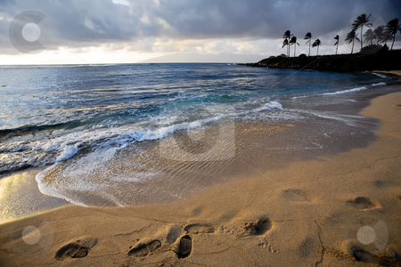 To use this stock image in your creative project, please select the size you need over to the right and click the "Add to Cart" button.
Your downloaded image will come with the Cutcaster watermark removed so don’t worry about the watermark you see on this page. Footsteps in Sand at Sunset stock photo, Beautiful idyllic tropical beach at sunset casts shadows into deep footprints by Eva Browning