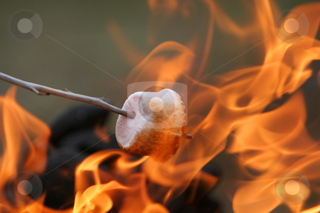 To use this stock image in your creative project, please select the size you need over to the right and click the "Add to Cart" button.
Your downloaded image will come with the Cutcaster watermark removed so don’t worry about the watermark you see on this page. About ready stock photo, Marshmallow on a stick being roasted over a camping fire by Johann Helgason