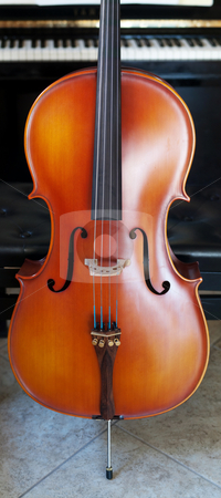 To use this stock image in your creative project, please select the size you need over to the right and click the "Add to Cart" button.
Your downloaded image will come with the Cutcaster watermark removed so don’t worry about the watermark you see on this page. Cello panoramic view stock photo, Panoramic view of a cello standing out in front of a piano by Laurent Dambies