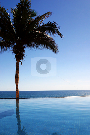 To use this stock image in your creative project, please select the size you need over to the right and click the "Add to Cart" button.
Your downloaded image will come with the Cutcaster watermark removed so don’t worry about the watermark you see on this page. Coast of Mexico stock photo, Pool in Los Cabos, Baja California Sur, Mexico by Carlos Sanchez